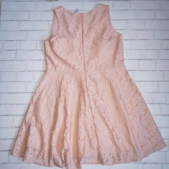 Lillian Peach Lace Fit And Flare Dress - Picture 3 of 7